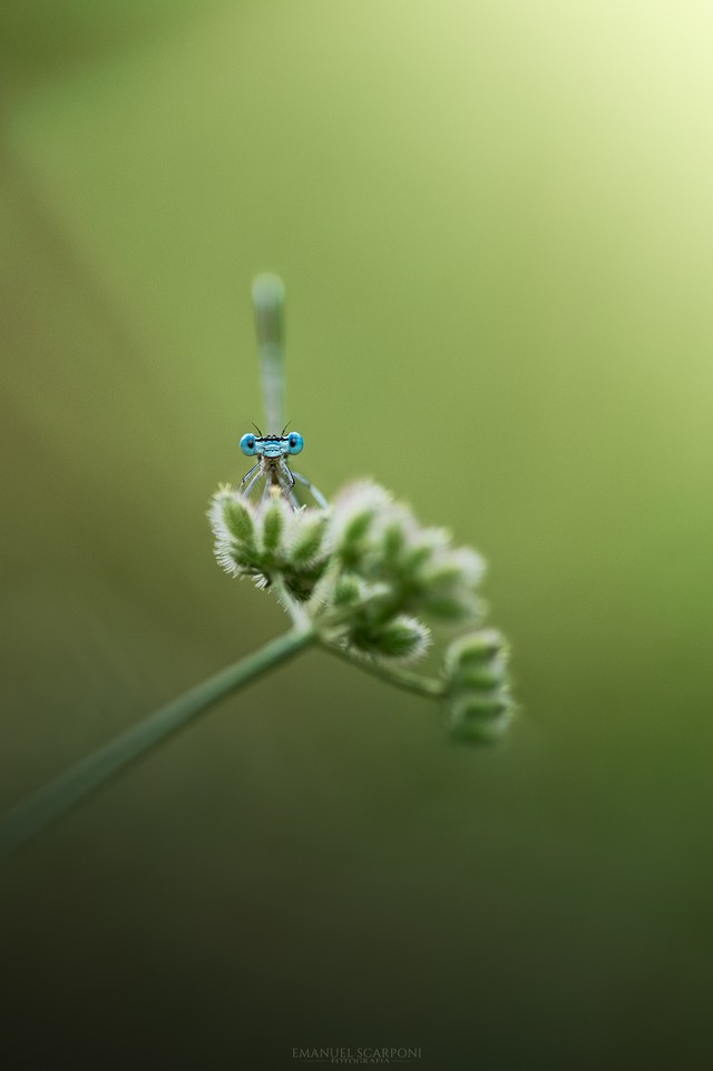 DSC_0320-1.jpg