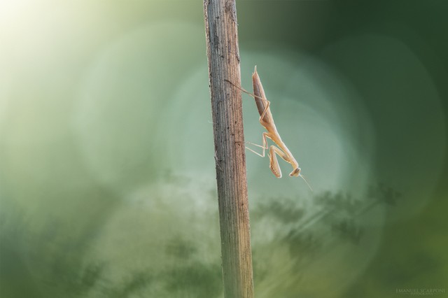 Unione_DSC_0515_DSC0606-1.jpg