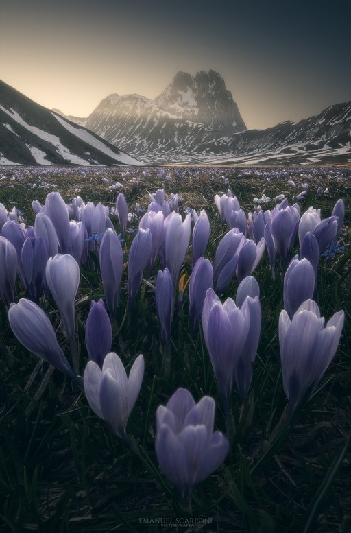 Campo imperatore.jpg